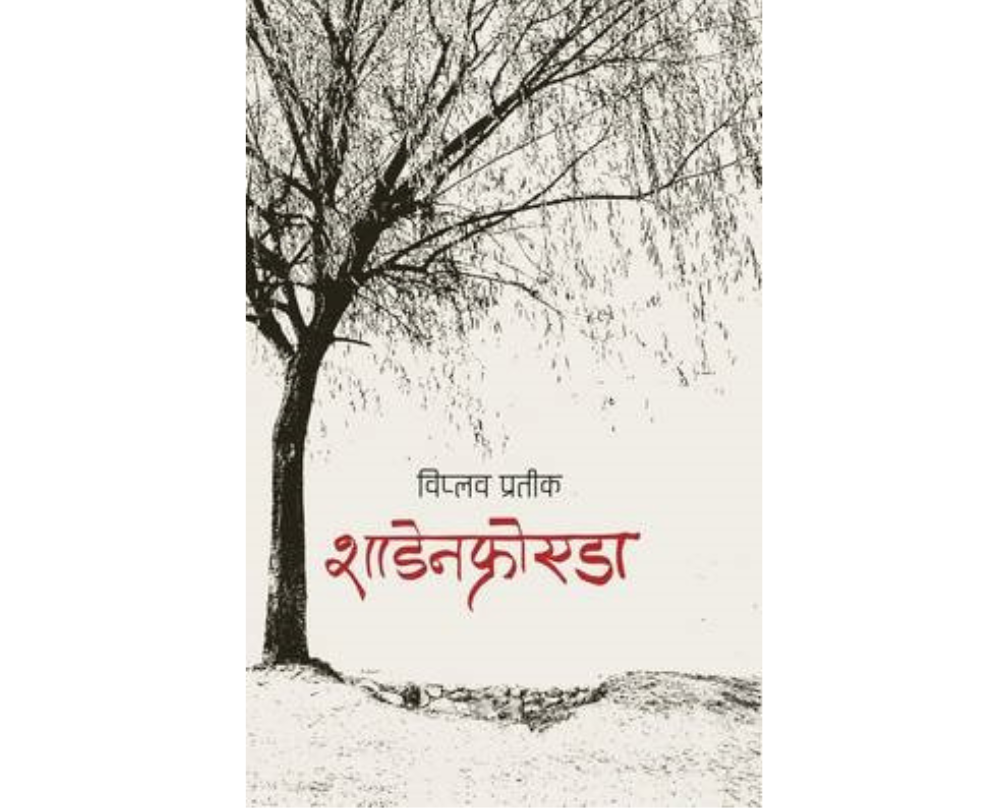 Schadenfreude (शाडेनफ्रोएडा)